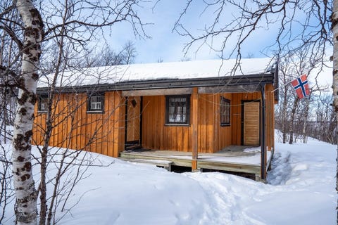 Bilde 1 av annonsen
