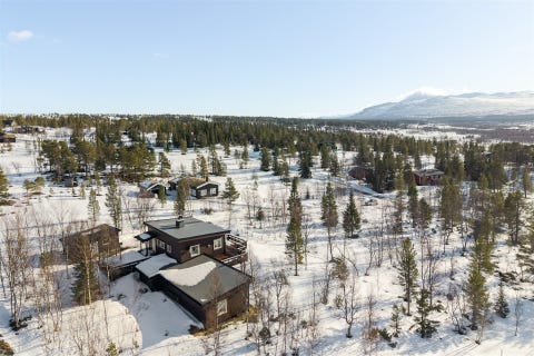 Bilde 1 av annonsen