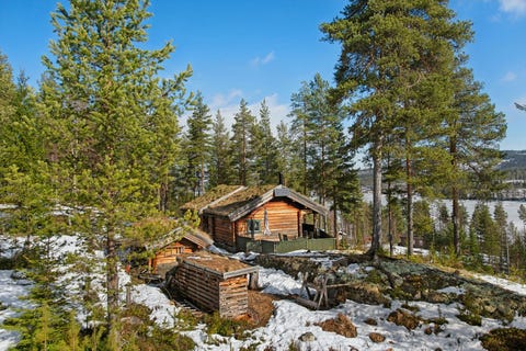 Bilde 1 av annonsen