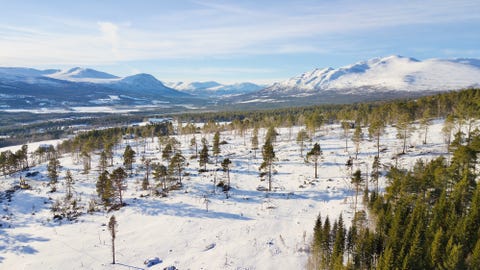 Bilde 1 av annonsen