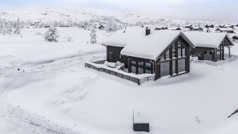 Bilde 1 av annonsen