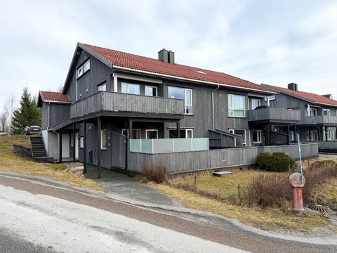 Bilde 1 av annonsen