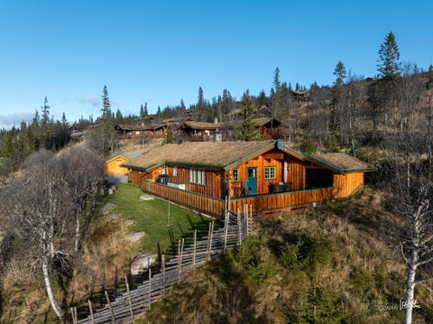 Bilde 2 av annonsen