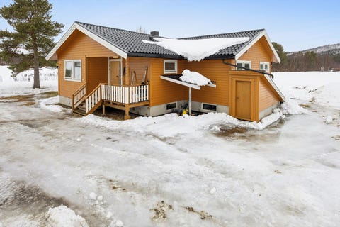 Bilde 1 av annonsen
