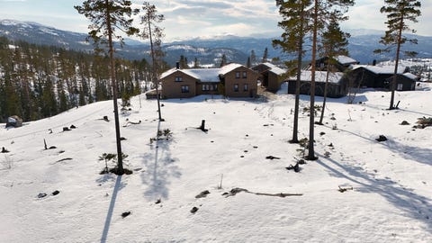 Bilde 1 av annonsen