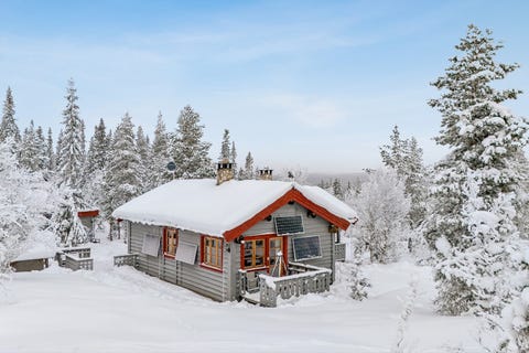 Bilde 1 av annonsen