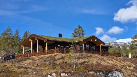 Bilde 1 av annonsen