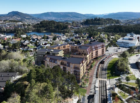 Bilde 1 av annonsen