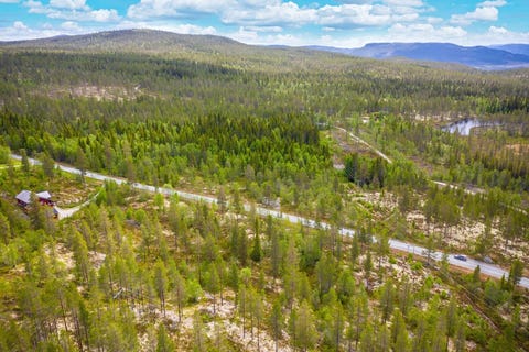 Bilde 2 av annonsen