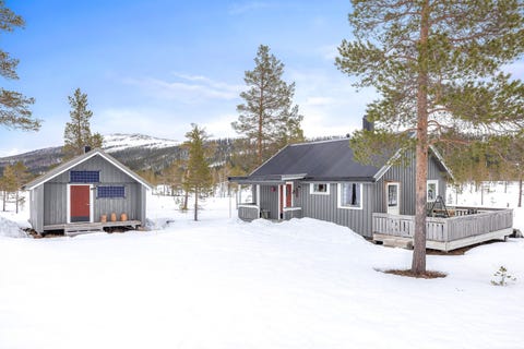 Bilde 1 av annonsen