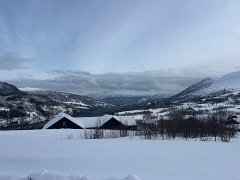 Bilde 1 av annonsen