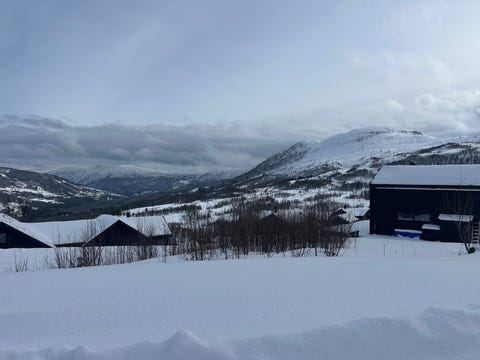 Bilde 2 av annonsen