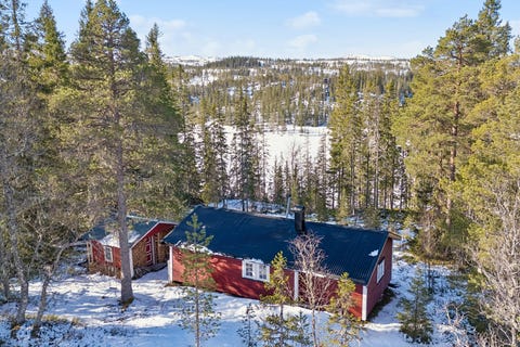 Bilde 1 av annonsen