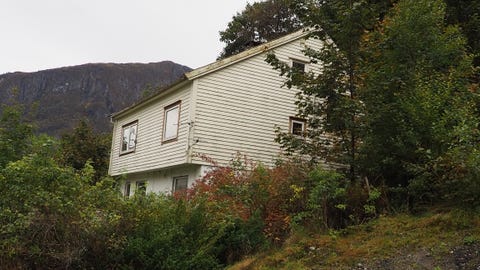 Bilde 1 av annonsen