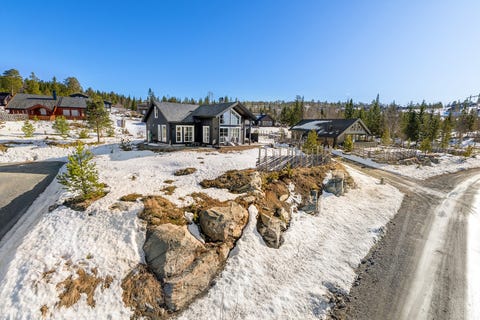 Bilde 1 av annonsen