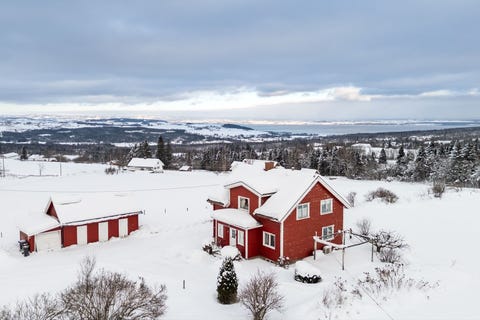 Bilde 1 av annonsen