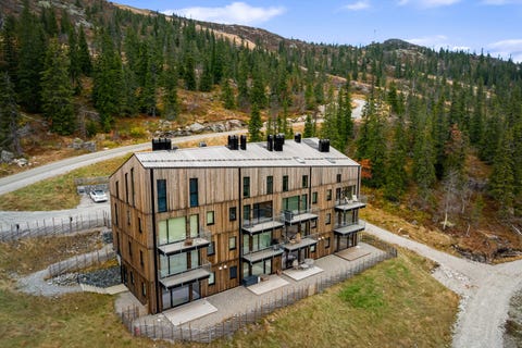 Bilde 2 av annonsen