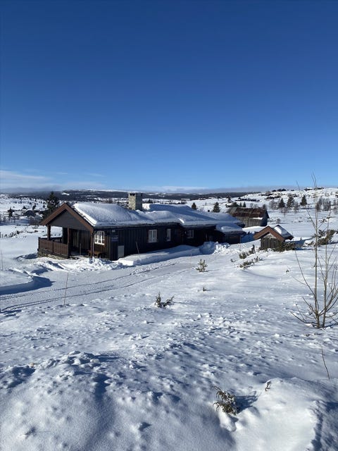 Bilde 1 av annonsen