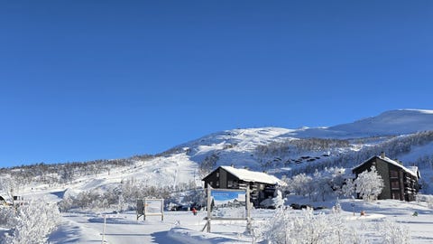 Bilde 2 av annonsen