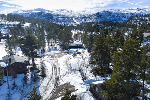 Bilde 2 av annonsen