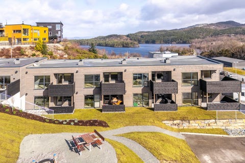 Bilde 1 av annonsen