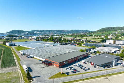 Bilde 1 av annonsen