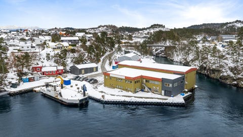 Bilde 1 av annonsen