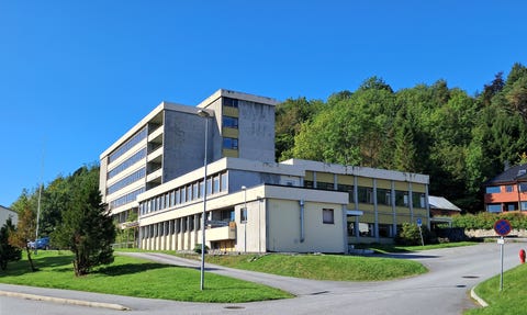 Bilde 1 av annonsen