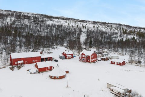 Bilde 1 av annonsen