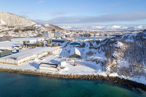 Bilde 1 av annonsen
