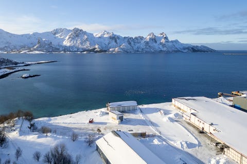 Bilde 2 av annonsen