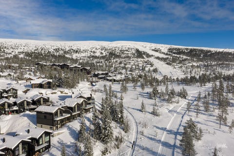 Bilde 2 av annonsen