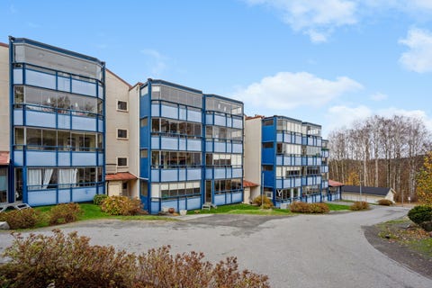 Bilde 1 av annonsen