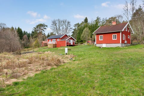 Bilde 1 av annonsen
