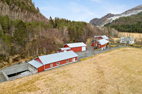Bilde 2 av annonsen