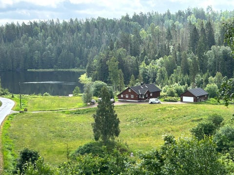 Bilde 1 av annonsen