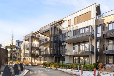 Bilde 2 av annonsen
