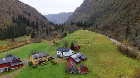 Bilde 1 av annonsen