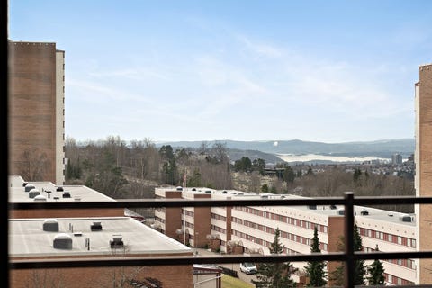 Bilde 2 av annonsen