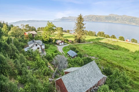Bilde 1 av annonsen