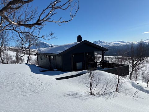Bilde 1 av annonsen