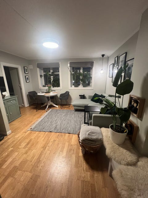 Bilde 2 av annonsen