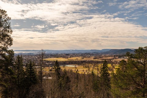 Bilde 2 av annonsen