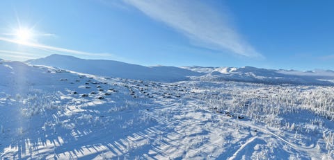 Bilde 2 av annonsen