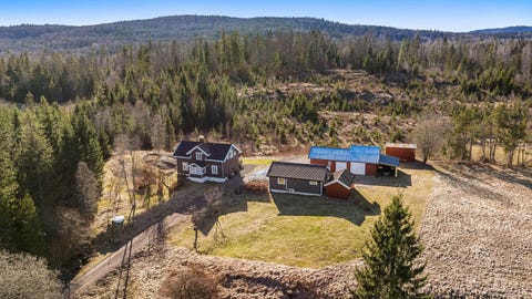 Bilde 1 av annonsen