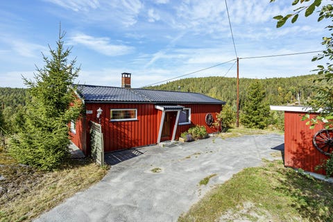 Bilde 1 av annonsen