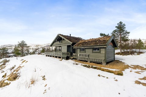 Bilde 1 av annonsen