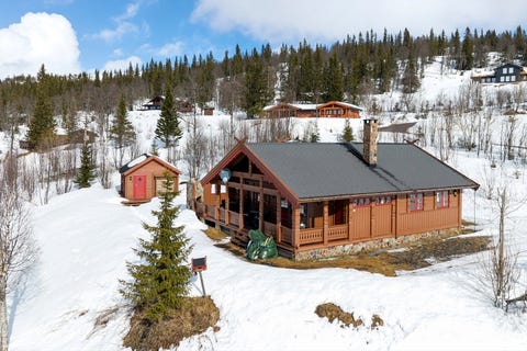 Bilde 1 av annonsen