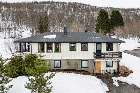 Bilde 1 av annonsen