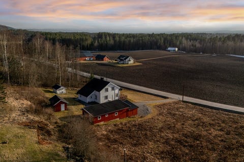 Bilde 1 av annonsen